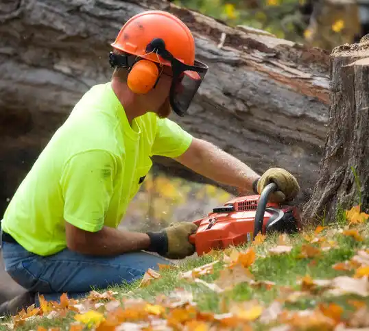 tree services Deercroft